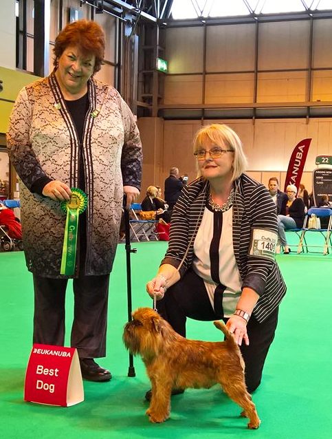 crufts best dog 2