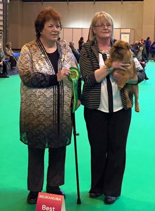 crufts best dog