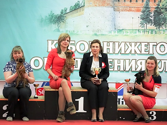 photo-28