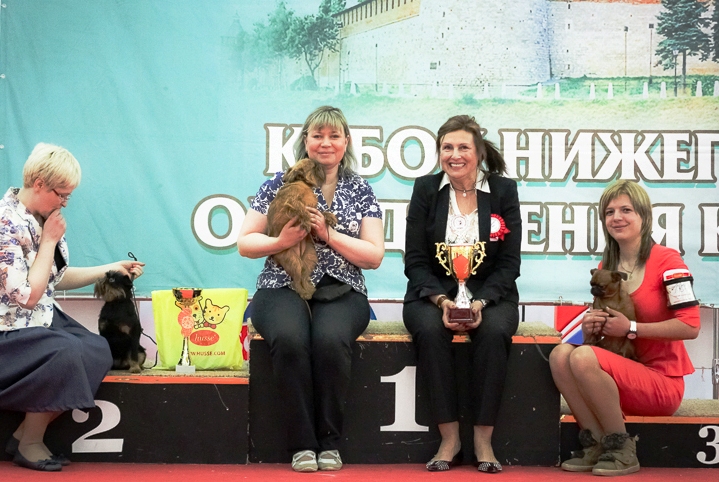 photo-32