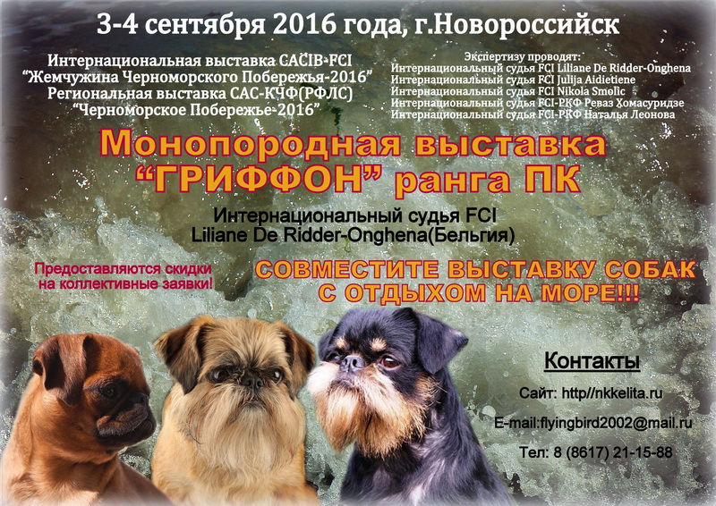 анонс гриффон