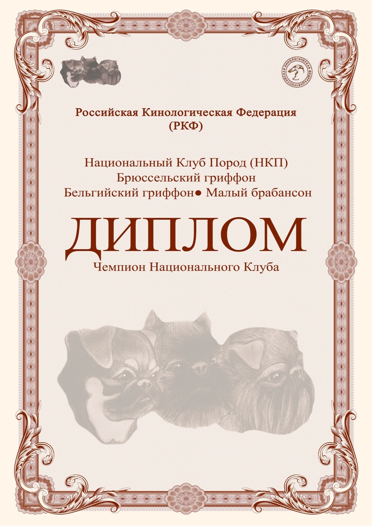для сайта нкп чемпион