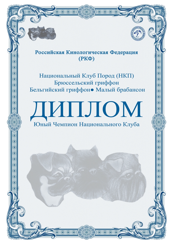 для сайта нкп ючемпион