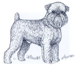 GRIFFON