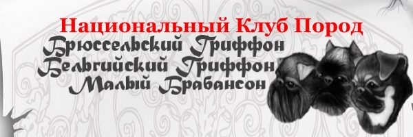 НКП гриффон официальный сайт